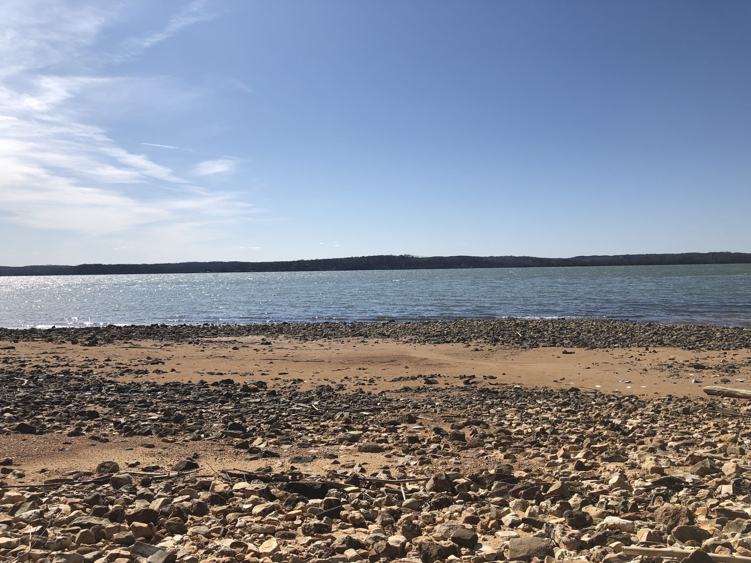 Kentucky Lake shoreline